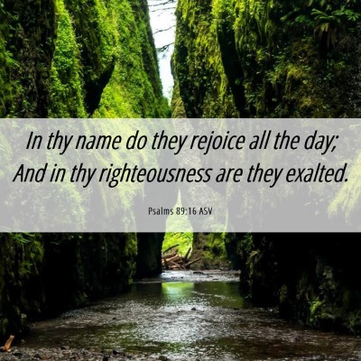Picture 06 - Psalms 89:16 ASV - In thy name do they rejoice all the day; And in - Bible Verse Picture
