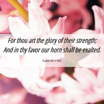 Picture 06 - Psalms 89:17 ASV - For thou art the glory of their strength; And in - Bible Verse Picture