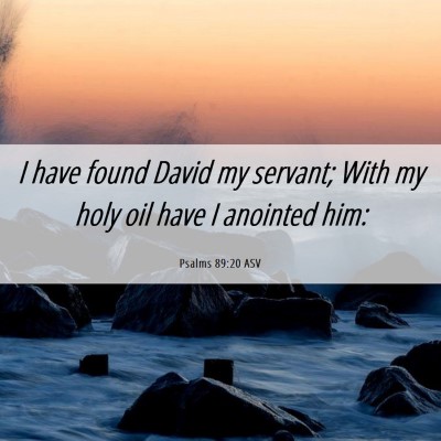 Picture 06 - Psalms 89:20 ASV - I have found David my servant; With my holy oil - Bible Verse Picture