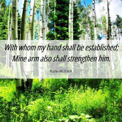Picture 06 - Psalms 89:21 ASV - With whom my hand shall be established; Mine arm - Bible Verse Picture