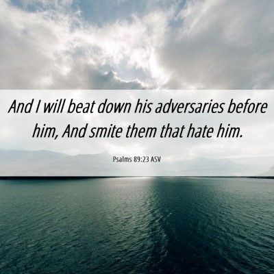 Picture 06 - Psalms 89:23 ASV - And I will beat down his adversaries before him, - Bible Verse Picture