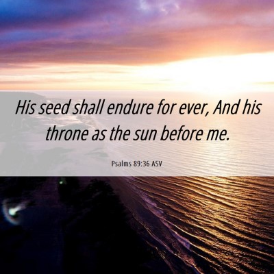 Picture 06 - Psalms 89:36 ASV - His seed shall endure for ever, And his throne as - Bible Verse Picture