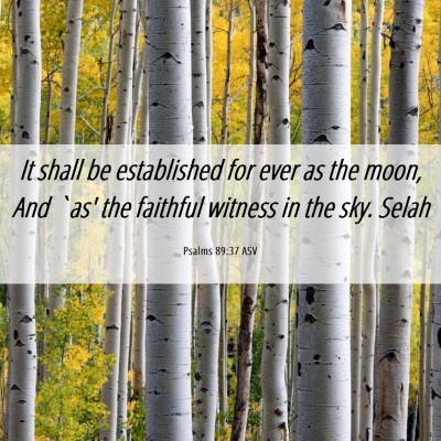 Picture 06 - Psalms 89:37 ASV - It shall be established for ever as the moon, And - Bible Verse Picture