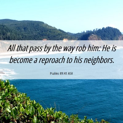 Picture 06 - Psalms 89:41 ASV - All that pass by the way rob him: He is become a - Bible Verse Picture