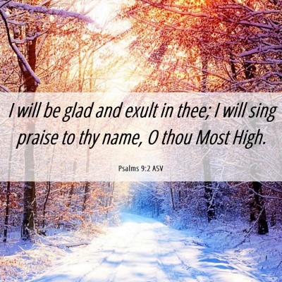 Picture 06 - Psalms 9:2 ASV - I will be glad and exult in thee; I will sing - Bible Verse Picture