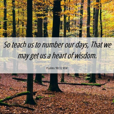 Picture 06 - Psalms 90:12 ASV - So teach us to number our days, That we may get - Bible Verse Picture