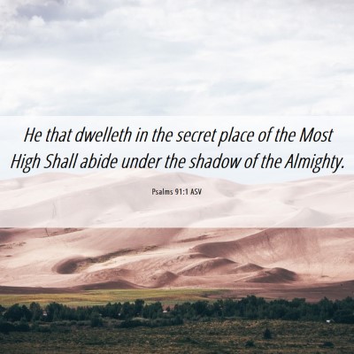 Picture 06 - Psalms 91:1 ASV - He that dwelleth in the secret place of the Most - Bible Verse Picture
