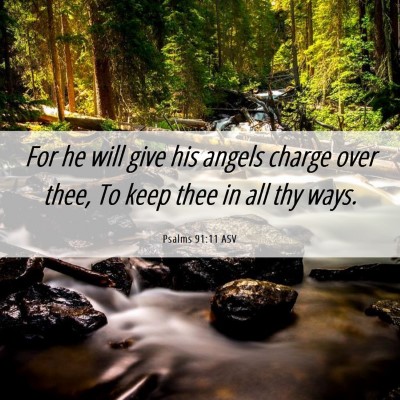 Picture 06 - Psalms 91:11 ASV - For he will give his angels charge over thee, To - Bible Verse Picture