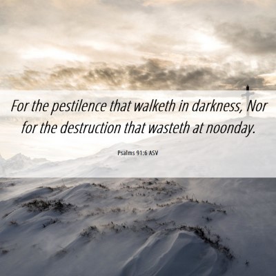 Picture 06 - Psalms 91:6 ASV - For the pestilence that walketh in darkness, Nor - Bible Verse Picture