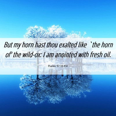 Picture 06 - Psalms 92:10 ASV - But my horn hast thou exalted like `the horn of' - Bible Verse Picture
