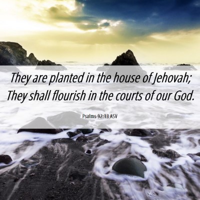 Picture 06 - Psalms 92:13 ASV - They are planted in the house of Jehovah; They - Bible Verse Picture