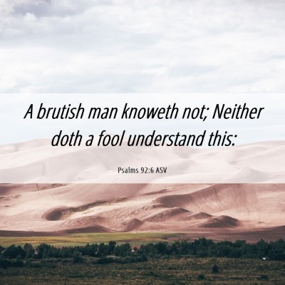 Picture 06 - Psalms 92:6 ASV - A brutish man knoweth not; Neither doth a fool - Bible Verse Picture