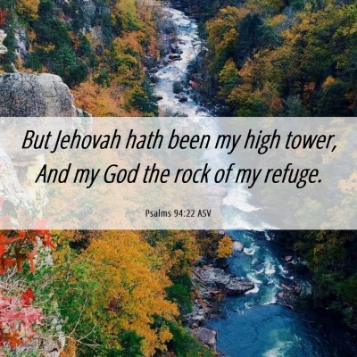 Picture 06 - Psalms 94:22 ASV - But Jehovah hath been my high tower, And my God - Bible Verse Picture