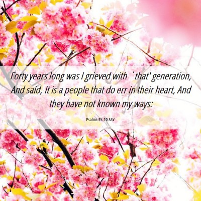 Picture 06 - Psalms 95:10 ASV - Forty years long was I grieved with `that' - Bible Verse Picture