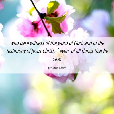 Picture 06 - Revelation 1:2 ASV - who bare witness of the word of God, and of the - Bible Verse Picture