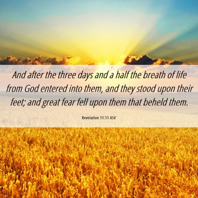 Picture 06 - Revelation 11:11 ASV - And after the three days and a half the breath of - Bible Verse Picture