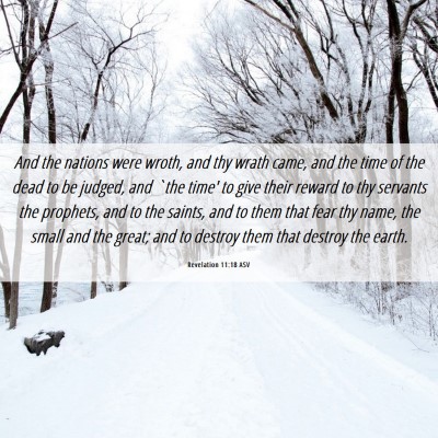 Picture 06 - Revelation 11:18 ASV - And the nations were wroth, and thy wrath came, - Bible Verse Picture