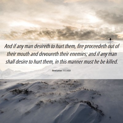 Picture 06 - Revelation 11:5 ASV - And if any man desireth to hurt them, fire - Bible Verse Picture