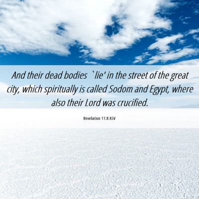 Picture 06 - Revelation 11:8 ASV - And their dead bodies `lie' in the street of the - Bible Verse Picture