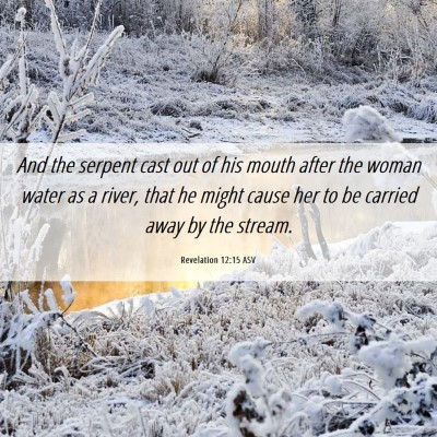 Picture 06 - Revelation 12:15 ASV - And the serpent cast out of his mouth after the - Bible Verse Picture