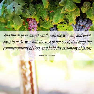 Picture 06 - Revelation 12:17 ASV - And the dragon waxed wroth with the woman, and - Bible Verse Picture
