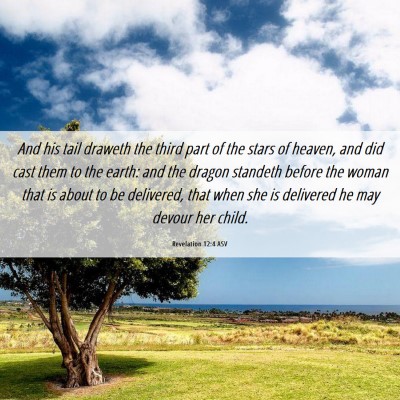Picture 06 - Revelation 12:4 ASV - And his tail draweth the third part of the stars - Bible Verse Picture