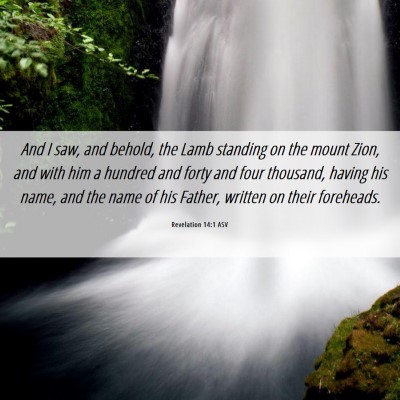 Picture 06 - Revelation 14:1 ASV - And I saw, and behold, the Lamb standing on the - Bible Verse Picture
