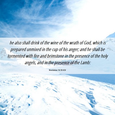 Picture 06 - Revelation 14:10 ASV - he also shall drink of the wine of the wrath of - Bible Verse Picture