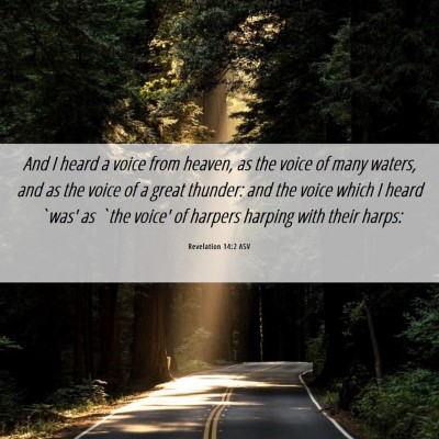 Picture 06 - Revelation 14:2 ASV - And I heard a voice from heaven, as the voice of - Bible Verse Picture