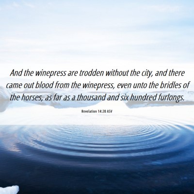 Picture 06 - Revelation 14:20 ASV - And the winepress are trodden without the city, - Bible Verse Picture