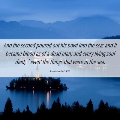 Picture 06 - Revelation 16:3 ASV - And the second poured out his bowl into the sea; - Bible Verse Picture