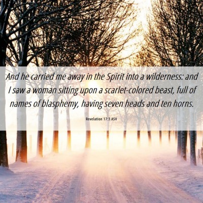 Picture 06 - Revelation 17:3 ASV - And he carried me away in the Spirit into a - Bible Verse Picture