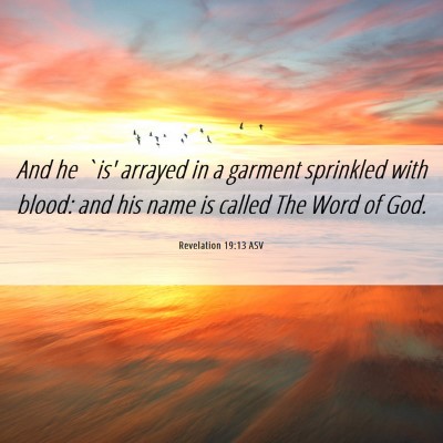 Picture 06 - Revelation 19:13 ASV - And he `is' arrayed in a garment sprinkled with - Bible Verse Picture
