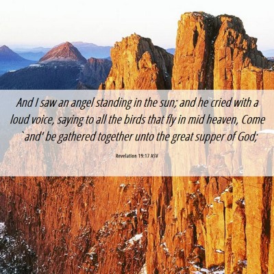 Picture 06 - Revelation 19:17 ASV - And I saw an angel standing in the sun; and he - Bible Verse Picture