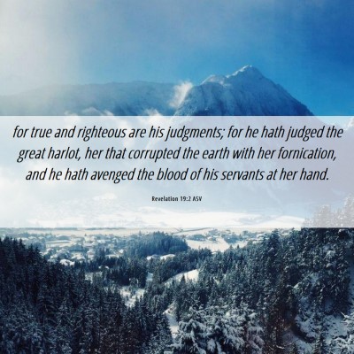 Picture 06 - Revelation 19:2 ASV - for true and righteous are his judgments; for he - Bible Verse Picture