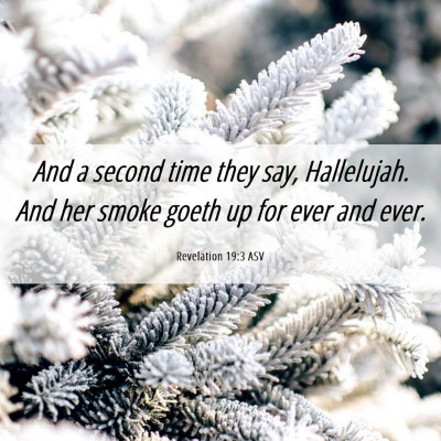 Picture 06 - Revelation 19:3 ASV - And a second time they say, Hallelujah. And her - Bible Verse Picture