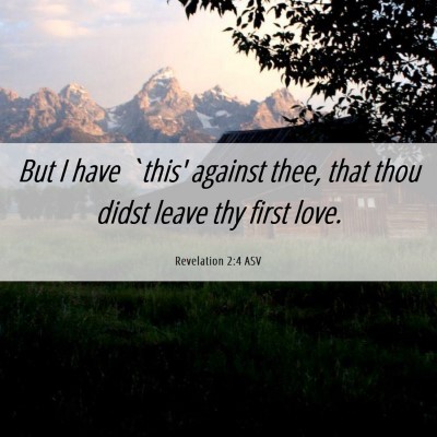 Picture 06 - Revelation 2:4 ASV - But I have `this' against thee, that thou didst - Bible Verse Picture