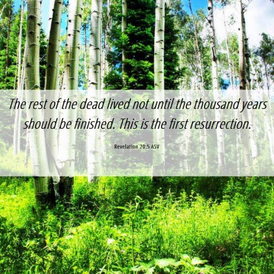 Picture 06 - Revelation 20:5 ASV - The rest of the dead lived not until the thousand - Bible Verse Picture