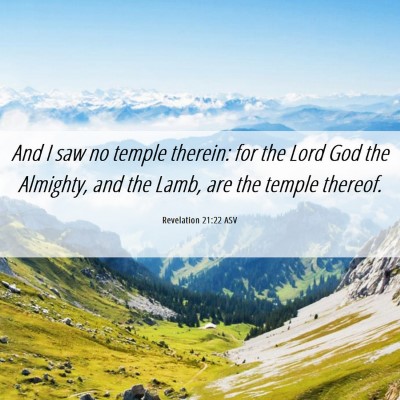 Picture 06 - Revelation 21:22 ASV - And I saw no temple therein: for the Lord God the - Bible Verse Picture