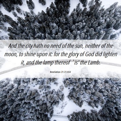 Picture 06 - Revelation 21:23 ASV - And the city hath no need of the sun, neither of - Bible Verse Picture
