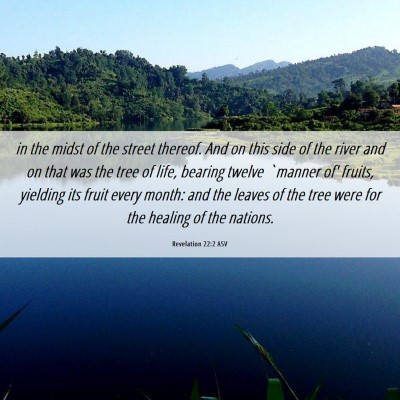 Picture 06 - Revelation 22:2 ASV - in the midst of the street thereof. And on this - Bible Verse Picture