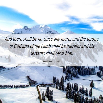 Picture 06 - Revelation 22:3 ASV - And there shall be no curse any more: and the - Bible Verse Picture
