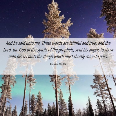 Picture 06 - Revelation 22:6 ASV - And he said unto me, These words are faithful and - Bible Verse Picture