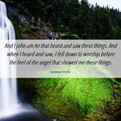 Picture 06 - Revelation 22:8 ASV - And I John am he that heard and saw these things. - Bible Verse Picture