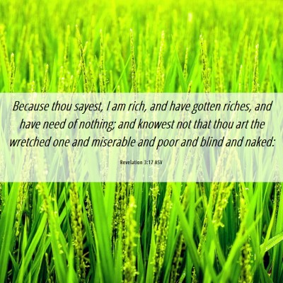 Picture 06 - Revelation 3:17 ASV - Because thou sayest, I am rich, and have gotten - Bible Verse Picture