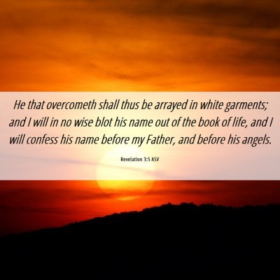 Picture 06 - Revelation 3:5 ASV - He that overcometh shall thus be arrayed in white - Bible Verse Picture