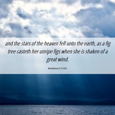 Picture 06 - Revelation 6:13 ASV - and the stars of the heaven fell unto the earth, - Bible Verse Picture