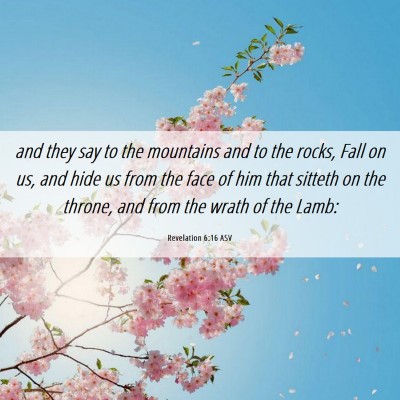 Picture 06 - Revelation 6:16 ASV - and they say to the mountains and to the rocks, - Bible Verse Picture