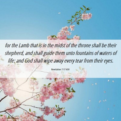 Picture 06 - Revelation 7:17 ASV - for the Lamb that is in the midst of the throne - Bible Verse Picture