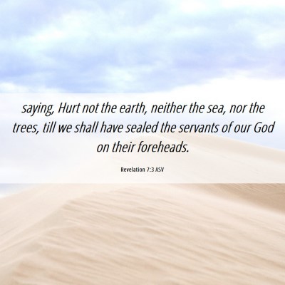 Picture 06 - Revelation 7:3 ASV - saying, Hurt not the earth, neither the sea, nor - Bible Verse Picture